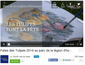 La chaîne dailymotion propose un contenu de qualité régulièrement mis à jour ; mais son impact reste marginal.